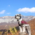 蒜山の紅葉2022