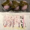 桜もち🌸
