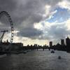 ロンドン絶景【ウエストミンスター橋からタワーブリッジまで】テムズ川にかかるフォトジェニックな橋８本をご紹介