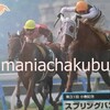 サラブレッドカード95 072 第31回小倉記念 スプリングバンブー