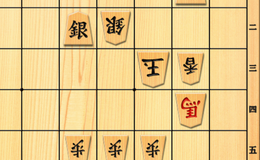 記事を見る