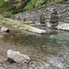 企業共同放流(藤倉川)実施