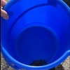 カニ釣りでまさかの結末！孫の優しさにツッコミ不可避」