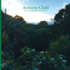  Anthony Child / Electronic Recordings From Maui Jungle Vol. 1