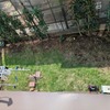 生きていること