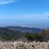  六甲山系ゆるっ登山：六甲タイムトライアルに挑戦ししょんぼりタイムをたたき出す【芦屋川駅～風吹岩～六甲山頂上】