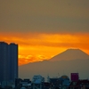 👼🐉夕暮れ時の《新幹線》＆【富士山】雄姿!!