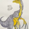 No.36 テリジノサウルス。