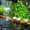 大晦日の朝に１年の感謝を伝える神社参拝の習慣  /【瞑想２３日目】
