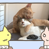 猫「こっち来たらシャーするぞ！」〜1カ月後〜「ズッ友だよ！」