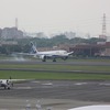 B787　DREAM LINER in Itami Airport