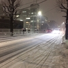 2018年、雪。