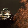 大阪城と桜？