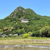 登山に行ったつもりじゃないのに登ってしまった赤神山＠滋賀県東近江市「阿賀神社（太郎坊宮）」