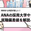 【ANAの採用大学は？】就職偏差値や倍率も徹底調査！