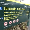 ここは地球なの？？トンガリロを少し離れて見てみよう！Taranaki Falls TrackからTama Lakeへ①