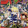 ワンピースのBIGポスターつき！週刊少年ジャンプ2025年21号感想！ネタバレ注意！