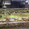 大楠に小鳥こぞりて雨水受け