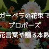 ガーベラの花束でプロポーズ！花言葉や贈る本数は何本？