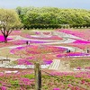 海外ビジネス　来日米国企業をもてなす心得【１０カ条】