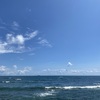 砂浜とか磯とか、なくなるもんですか