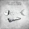 Immigrance / Snarky Puppy (2019 96/24)