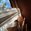 やっぱり青空はいいですねぇ(^_^)