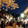 京都の桜2015まとめ+旅行記(2015/4/4)