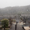 霊園風景　その49　　「‥この冬の　静かな光景　」