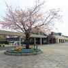 スターバックス友部SA（上り線）店の桜(笠間市)～つくば市とその周辺の風景写真案内（７２９）