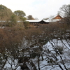 雪の東福寺