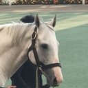 門別競馬専門予想の永倉ちなりのブログ