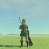 【ゼルダの伝説 ティアーズオブザキングダム】時・風の勇者