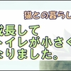 【猫との暮らし】成長してトイレが小さくなったので買い替えたよ。