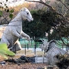 ズレちゃう界のカリスマ2人が対談したらやっぱり面白かった〜世間とズレちゃうのはしょうがない