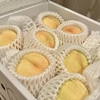 #122 今週（7/31〜）の食べ物まとめ【レシピ付き】