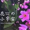 「植物スキャン熱中人」が作り出す静謐な世界