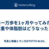 1日一万歩を1ヶ月やってみた。体重や体脂肪はどうなった？
