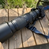 AF-S NIKKOR 200-500mm f5.6をレンタルした話