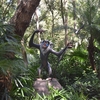 【WDW】フロリダオーランドWDW日記⒇/Animal Kingdom【ディズニーブログ】【旅行記】