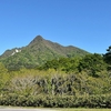 擬宝珠山