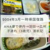 【2024一時帰国】3歳の子連れでのANAの国内線・国際線搭乗記（復路編）！NH986便で伊丹→羽田、当日乗り継ぎしてNH923便で羽田→広州！