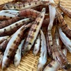トラハゼと生わかめ