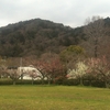 名古屋市の最高峰、東谷山の登山に行ってきました。