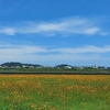 久し振りの河川敷