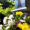 【＃ご先祖様とお盆 part2】＃獅子座新月/アラ還＠虹子