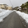 積雪は減ったが