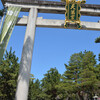 北野天満宮桜満開