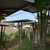 バリ島にある超エコの学校『Green School』を訪問しました！（その２）