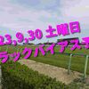 2023,9,30 土曜日 トラックバイアス予想 (中山競馬場、阪神競馬場)